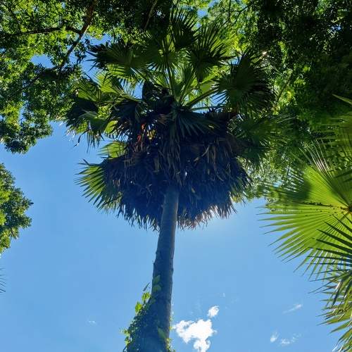 Photo #8693554