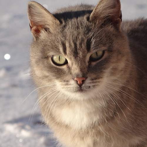 Photo #8694559