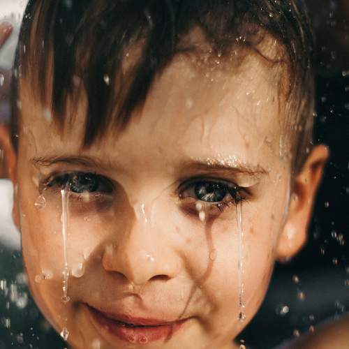 Photo #8694694