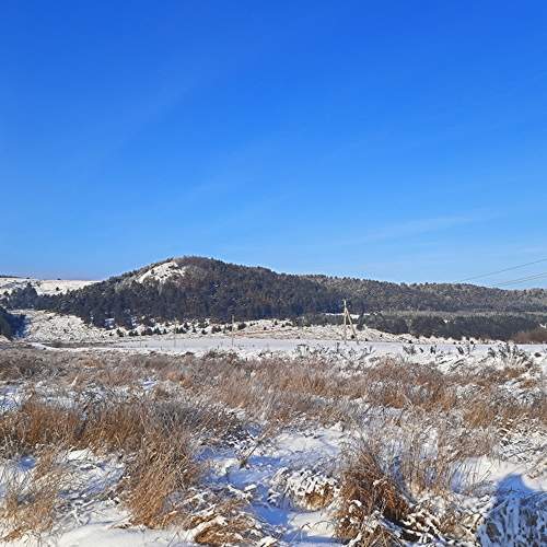 Photo #8695021