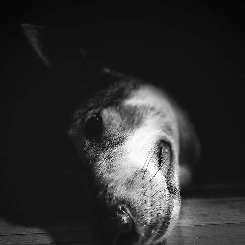 Photo #8695058