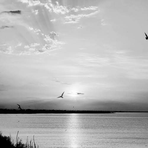 Photo #8695123
