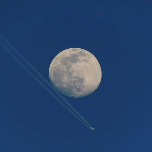 Photo #8695422