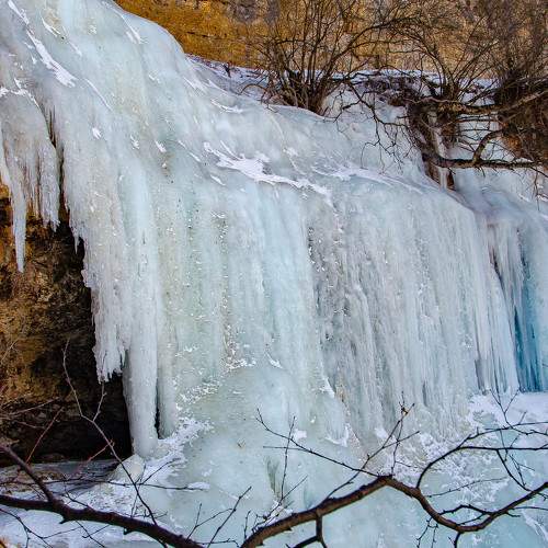 Photo #8695734
