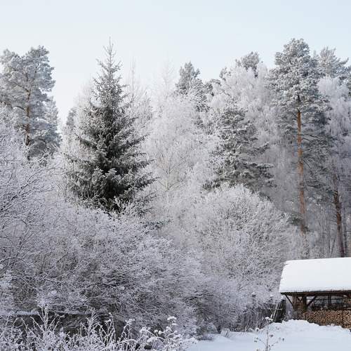 Photo #8695879