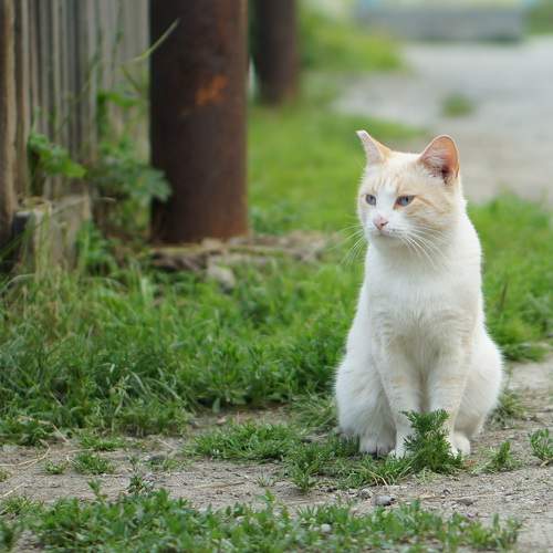 Photo #8695920
