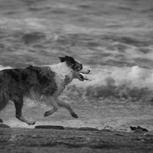 Photo #8696372