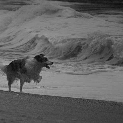 Photo #8696393