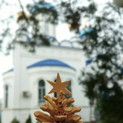 Photo #8696422