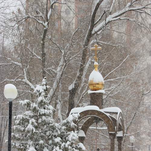 Photo #8696821