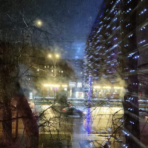 Photo #8697098
