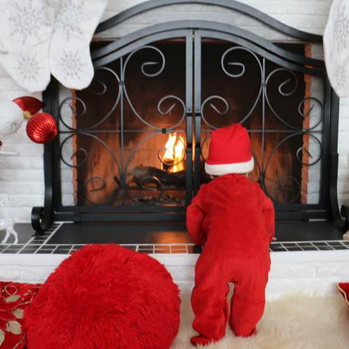 Photo #8697421