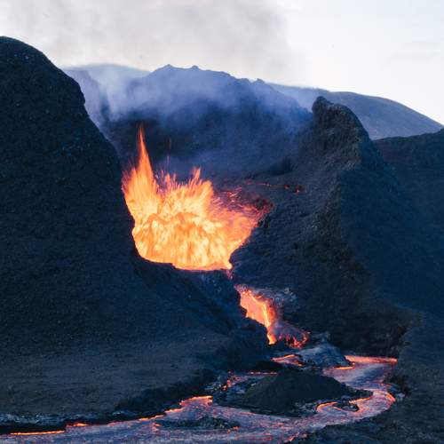 Photo #8697487