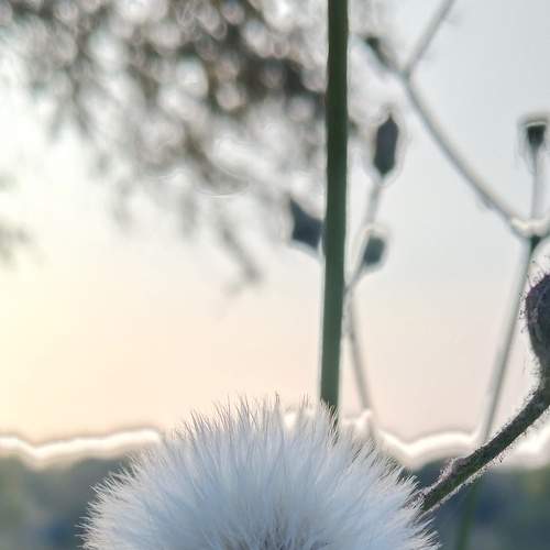 Photo #8697654