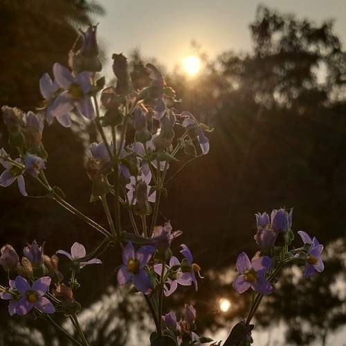 Photo #8697677