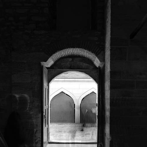 Photo #8697683