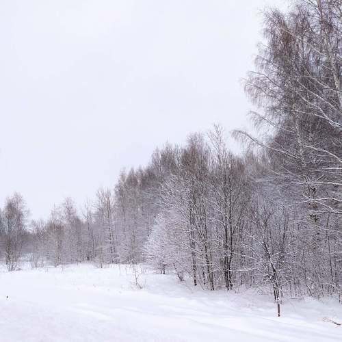 Снежная дорога