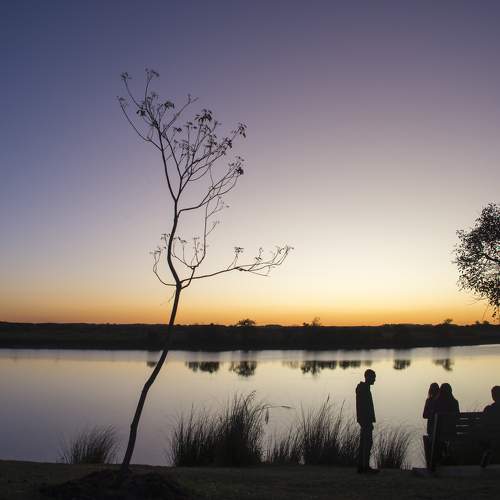 Photo #8697864