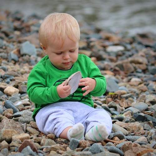 Photo #8698675