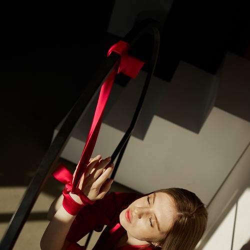 птица без клетки