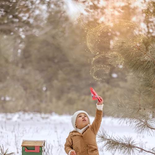 Photo #8698972