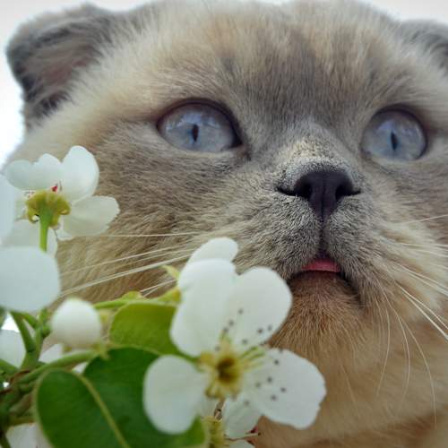 Photo #8699060