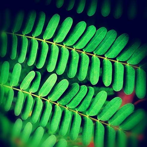 Photo #8699076