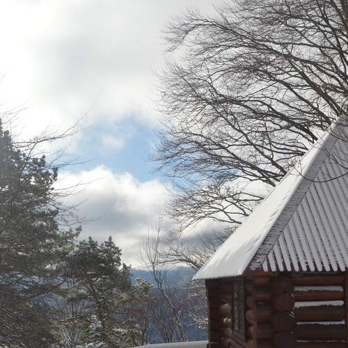 Photo #8699078