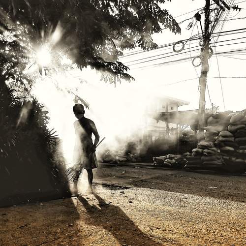 Photo #8699094