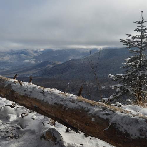 Photo #8699101