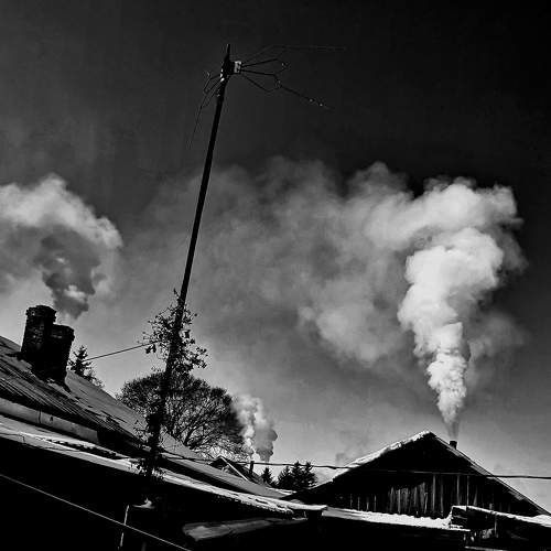 Photo #8699633