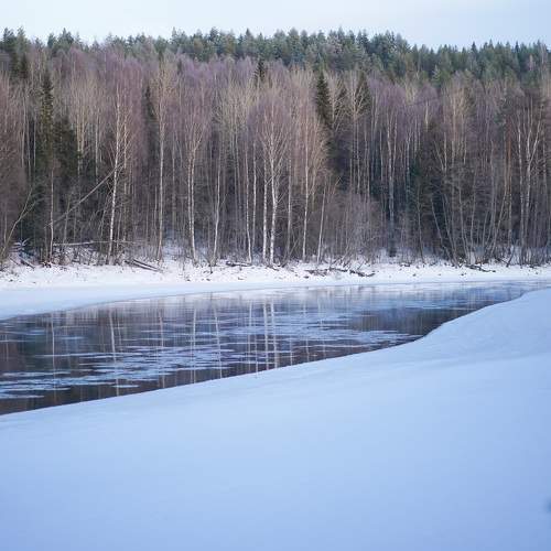 Photo #8700150