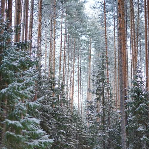 Photo #8700151