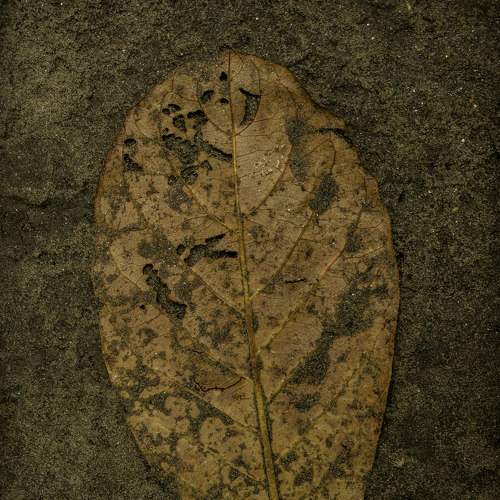 Photo #8700254