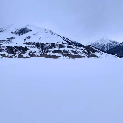 Photo #8700317