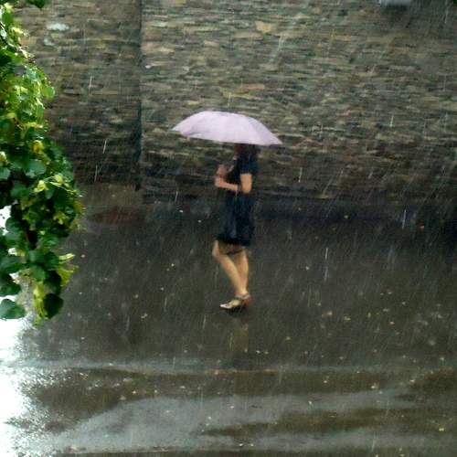 Photo #8700528
