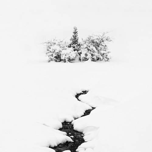 Photo #8700673