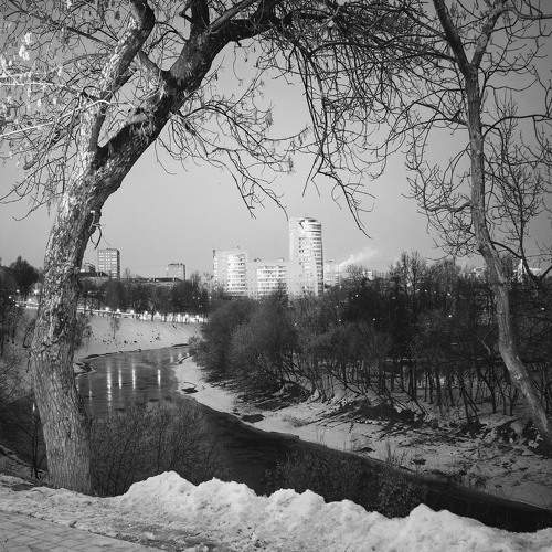 Photo #8700846