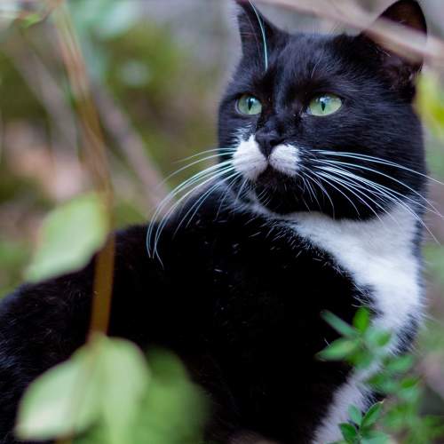 Photo #8700857