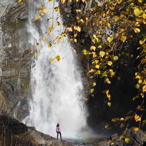 Photo #8700924