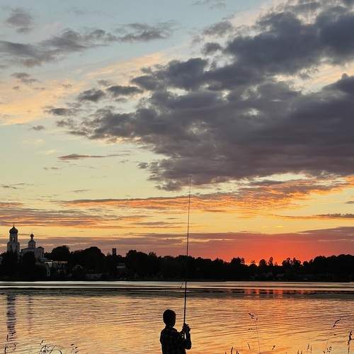 Photo #8701153