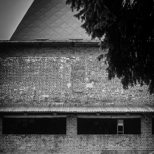 Photo #8701303
