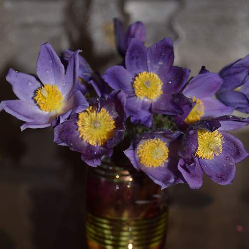Photo #8701401
