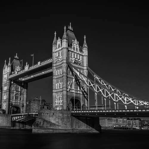 Фотография #8701649