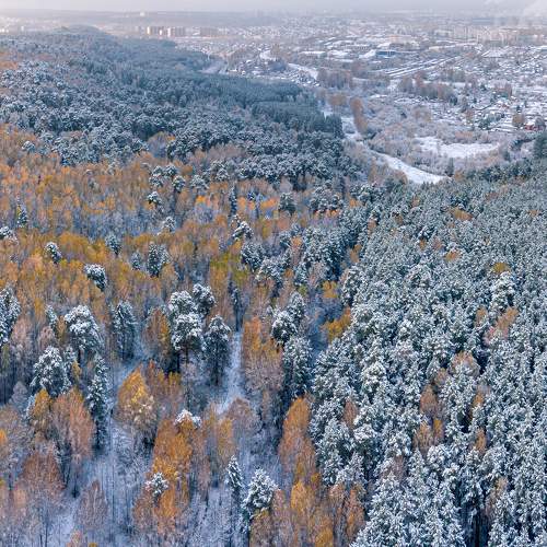 Photo #8701939