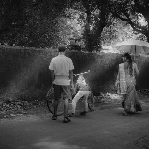 Photo #8702100