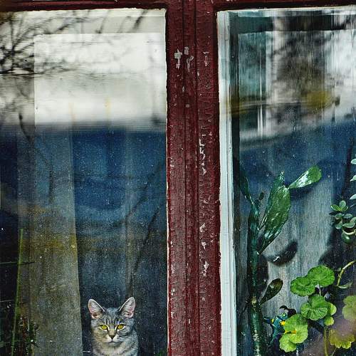 Photo #8702245