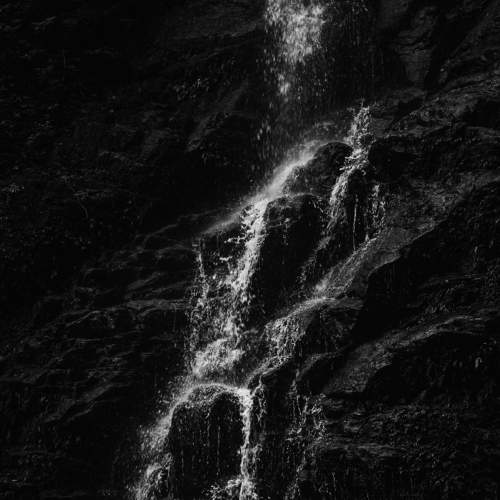 Photo #8702248