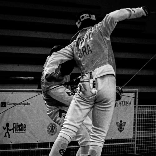 Photo #8702336