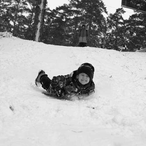 Photo #8702386